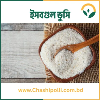 Psyllium Husk (ইসবগুলের ভুসি)